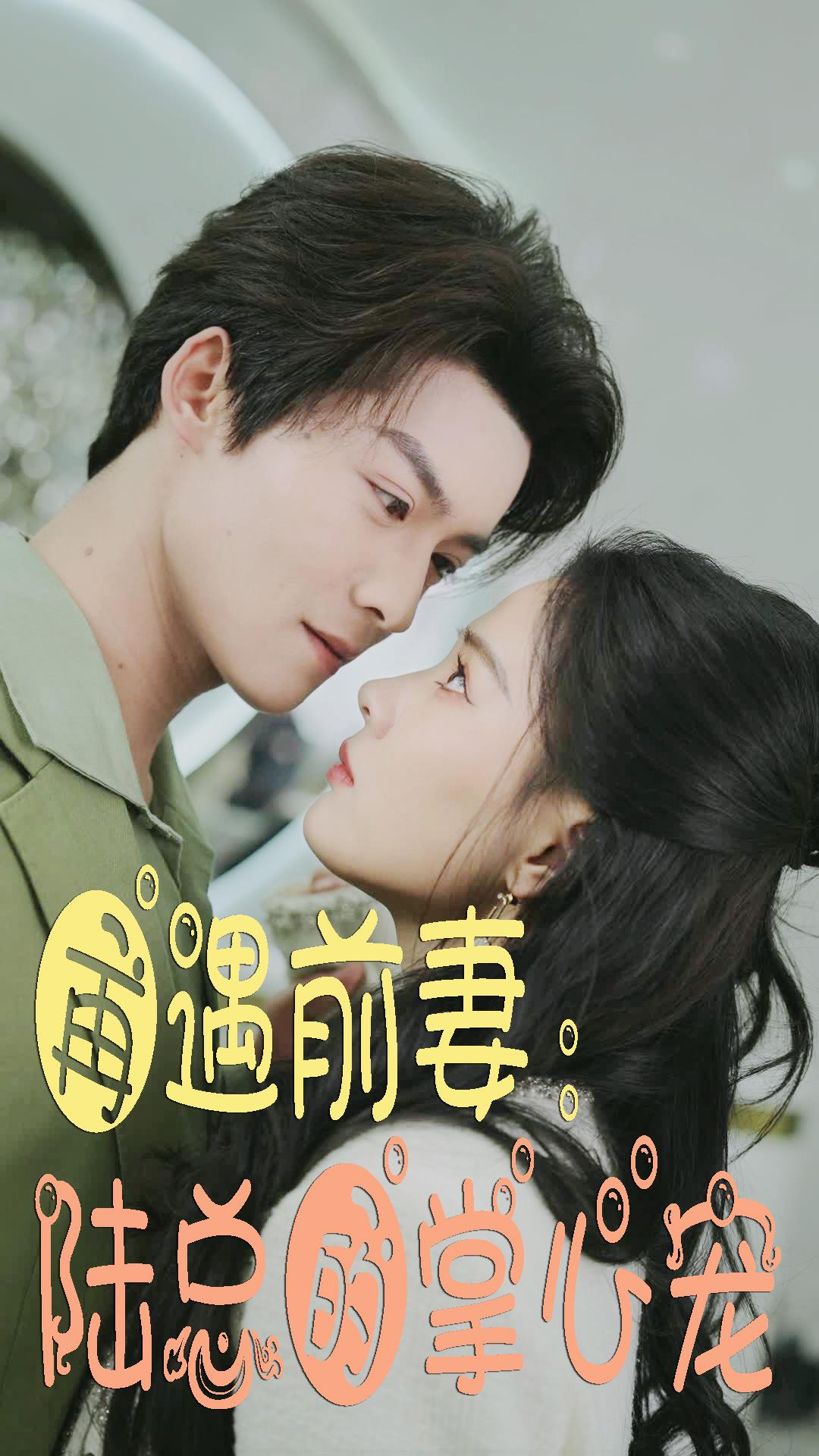 再遇前妻：陆总的掌心宠