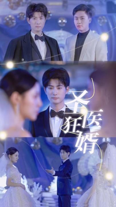 圣医狂婿
