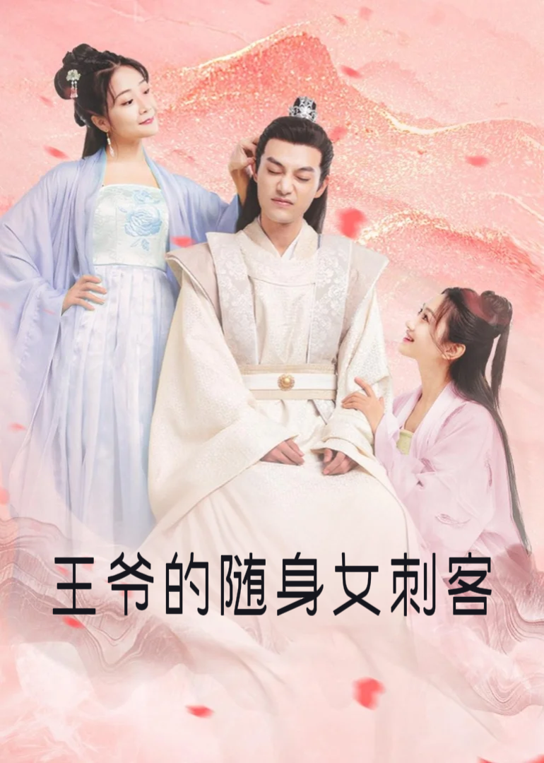 王爷的随身女刺客