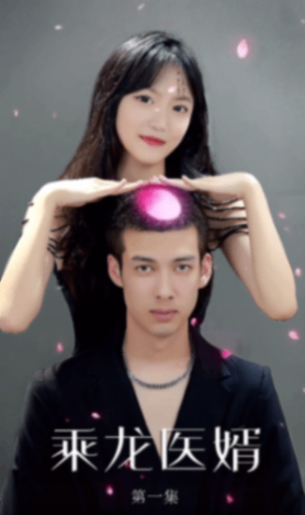 乘龙医婿