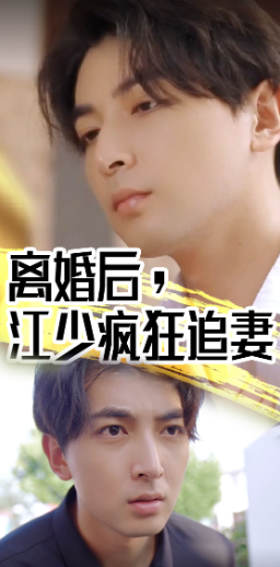 离婚后江少疯狂追妻
