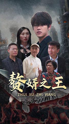 赘婿之王