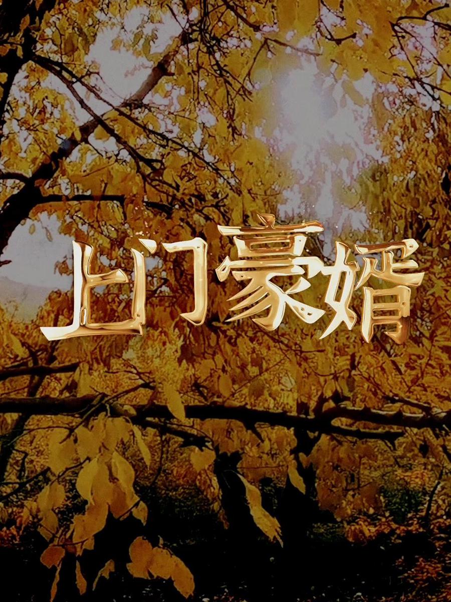 伪装赘婿