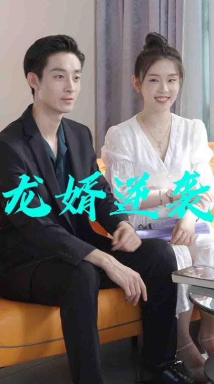 龙婿逆袭