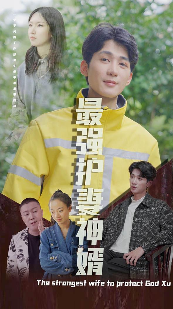 最强护妻神婿