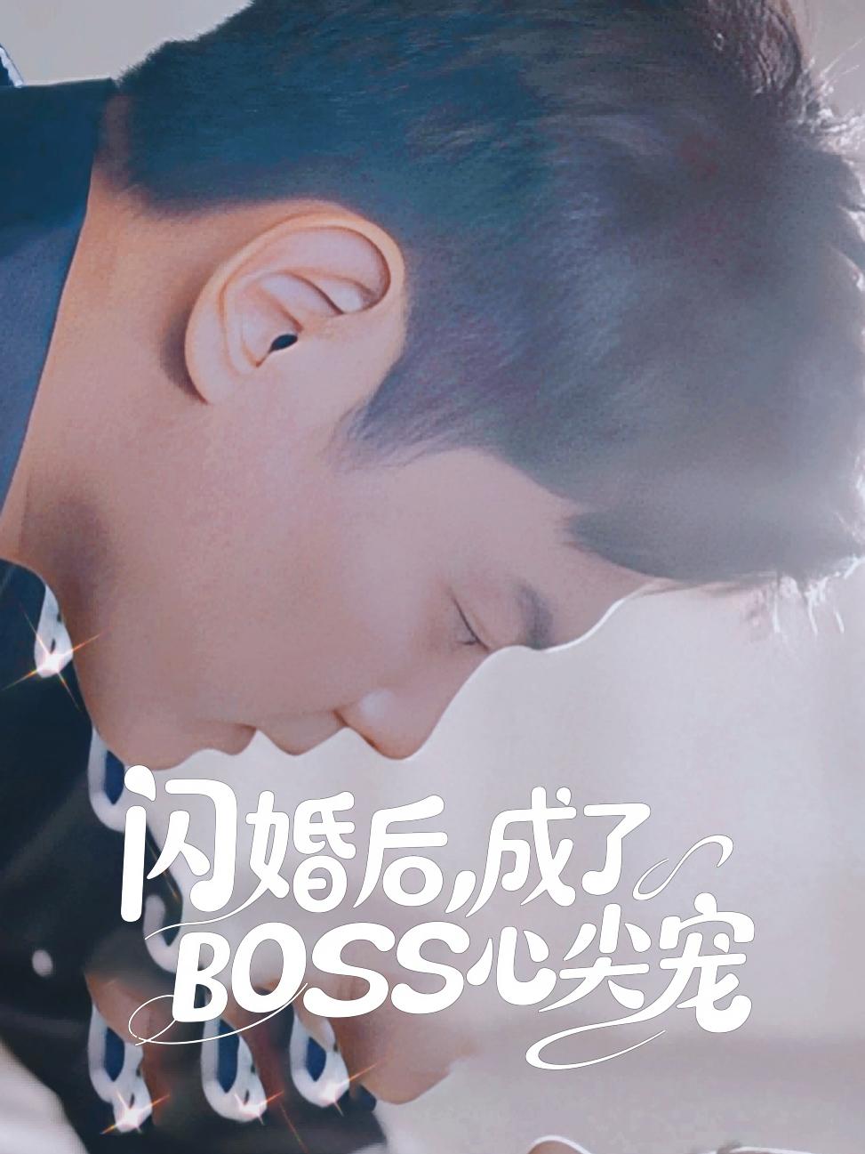 闪婚后，成了BOSS心尖宠